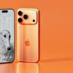 Kaksi oranssia iPhone 17 -puhelinta vierekkäin, etu- ja takapuoli näkyvät; kolmoiskamera, pyöristetyt reunat ja koirataustakuva näytöllä, iphone 17 vertailu.